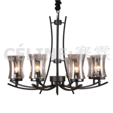 Big Quantity Promotion Pendant Lamp with Glass Shade (SL2246-8)